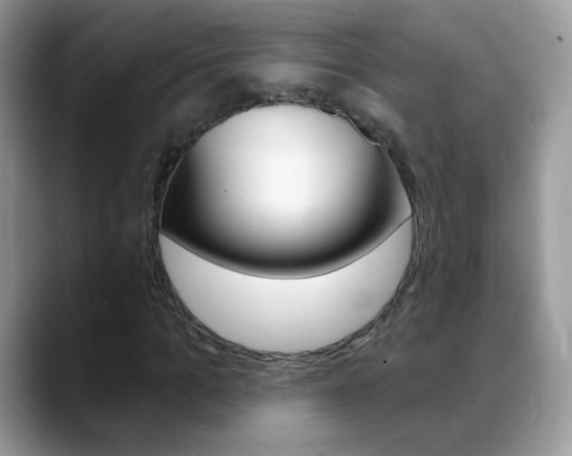 X0000088900965200706080823