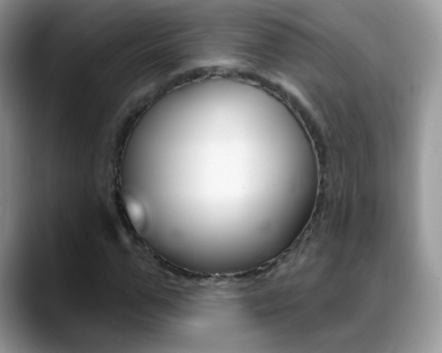 X0000088900967200706080823