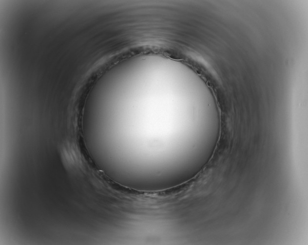 X0000088900968200706080823