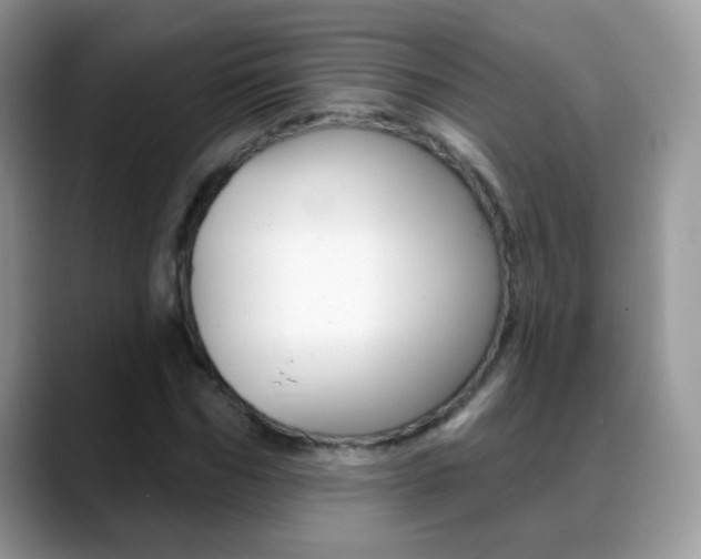 X0000088900970200706080823