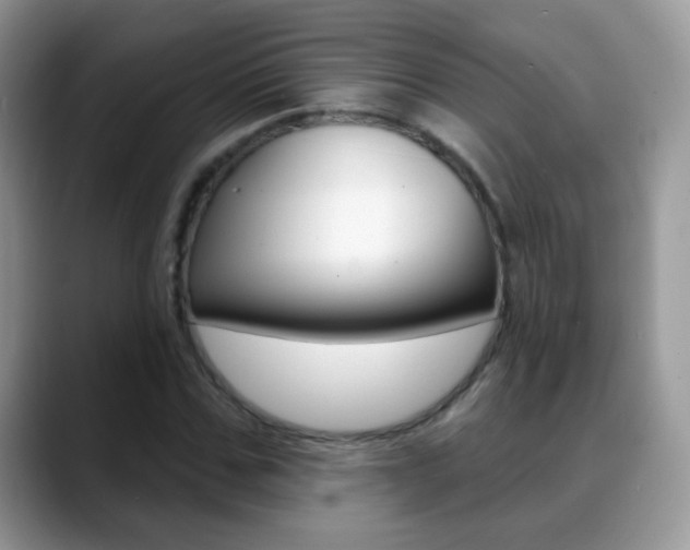 X0000088900971200706080823