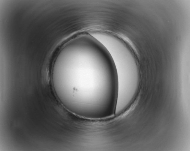 X0000088900973200706080823