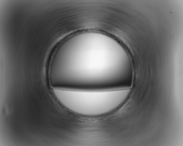 X0000088900975200706080823