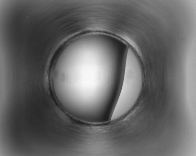 X0000088900976200706080823