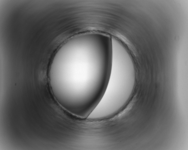 X0000088900977200706080823