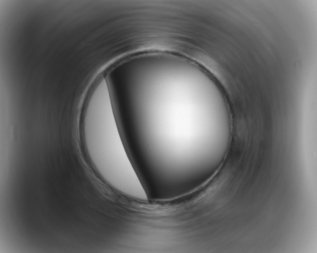 X0000088900980200706080823