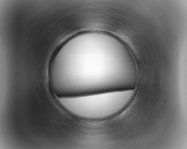 X0000088900982200706080823