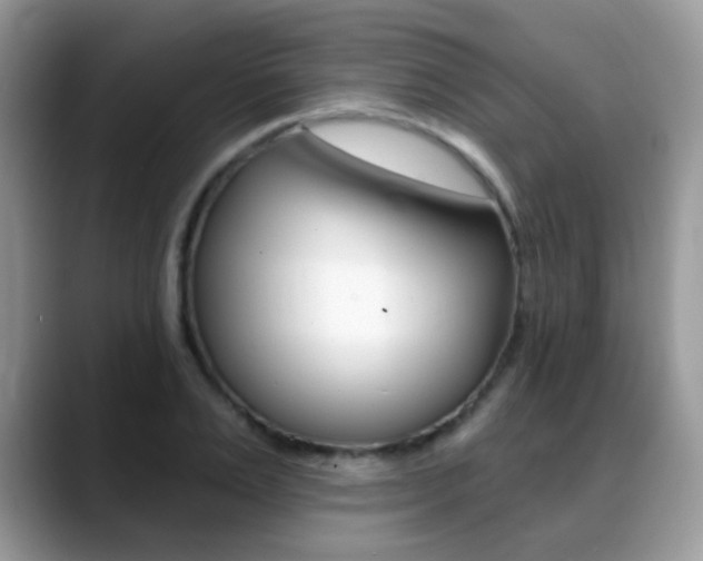 X0000088900983200706080823