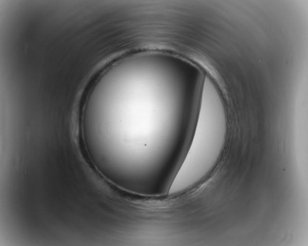 X0000088900984200706080823