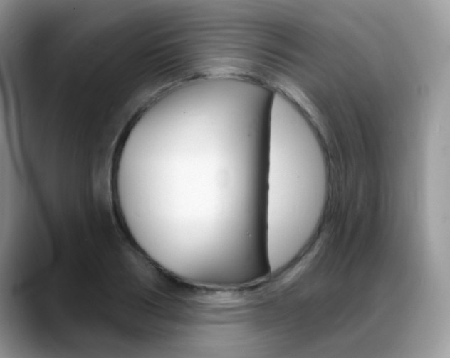 X0000088900986200706080823
