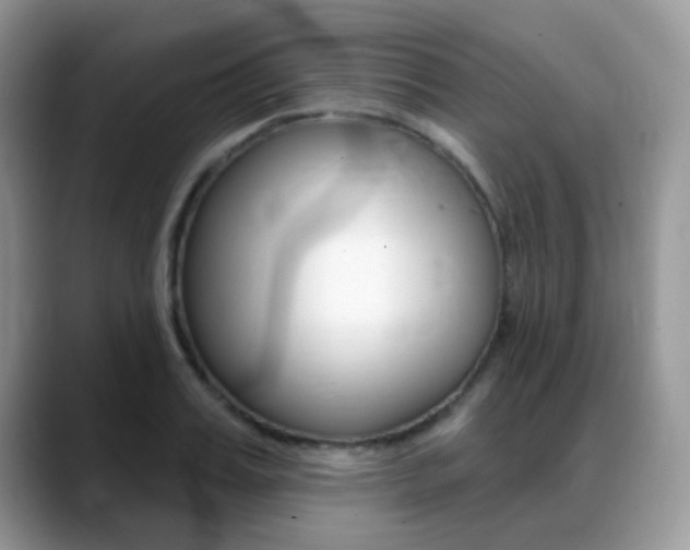 X0000088900987200706080823
