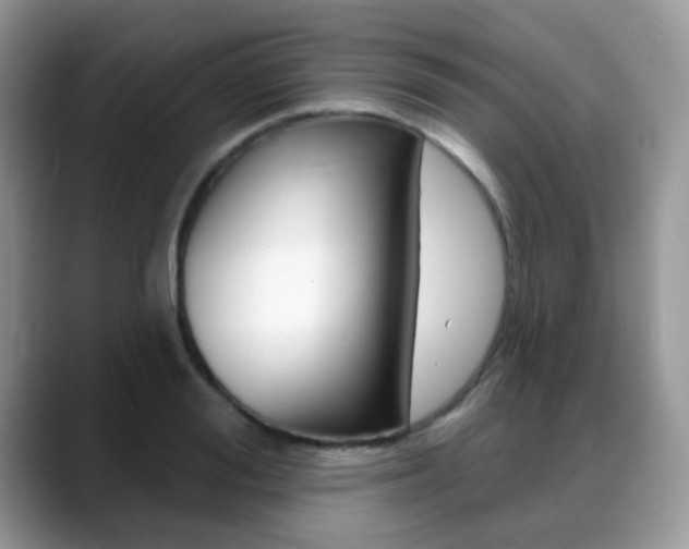 X0000088900988200706080823