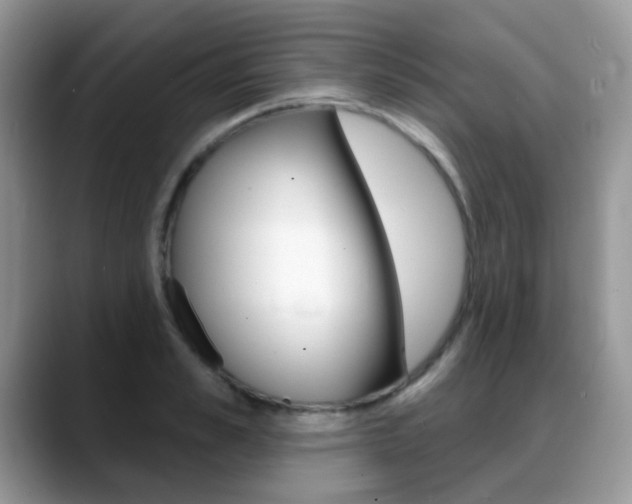 X0000088900989200706080823