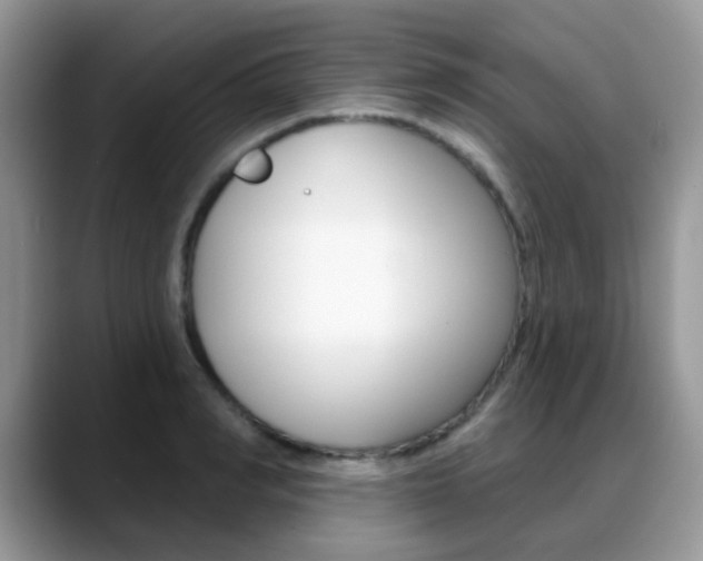 X0000088900990200706080823