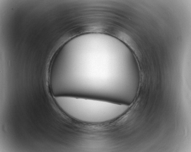 X0000088900994200706080823