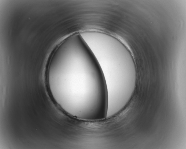 X0000088900995200706080823