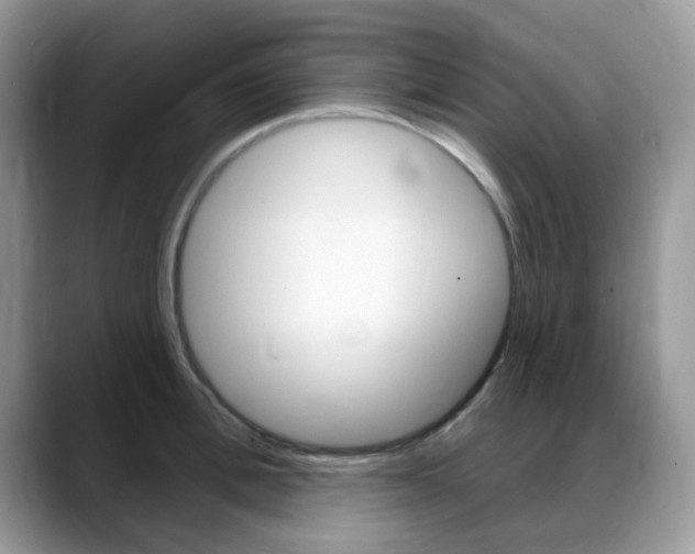X0000088900996200706080823