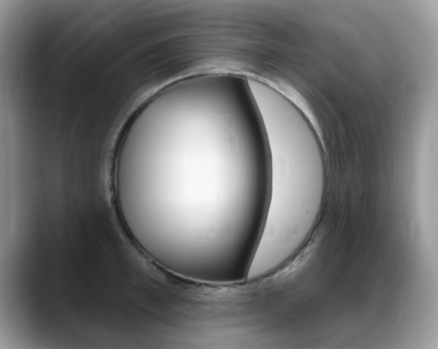 X0000088900997200706080823