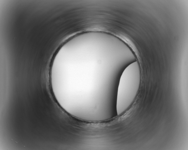 X0000088901000200706080823
