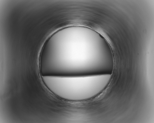 X0000088901004200706080823