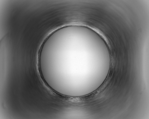 X0000088901006200706080823