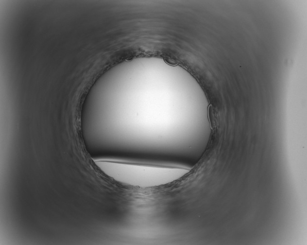 X0000088901009200706080822