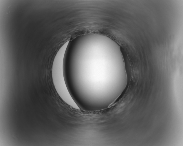X0000088901010200706080822
