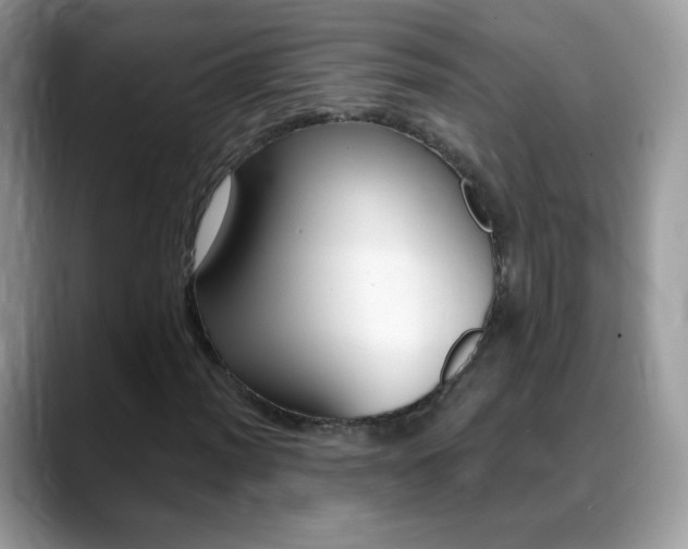 X0000088901012200706080822