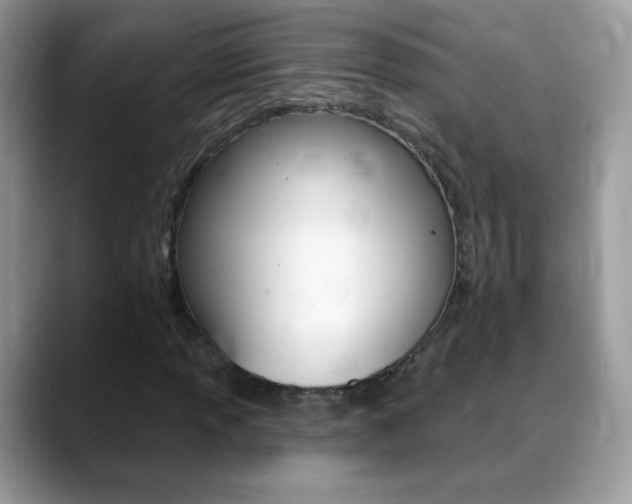 X0000088901013200706080822