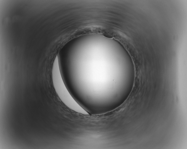 X0000088901014200706080822