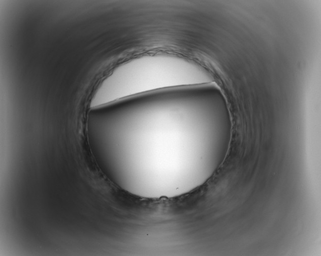 X0000088901016200706080822