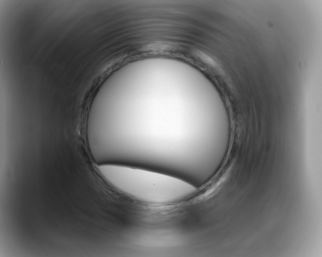 X0000088901017200706080822