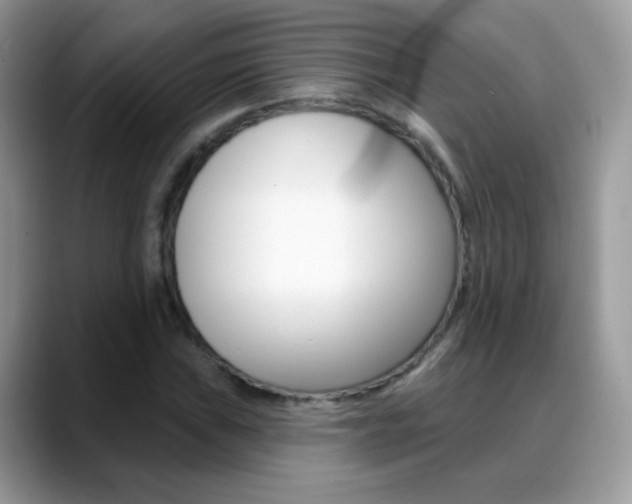 X0000088901019200706080822