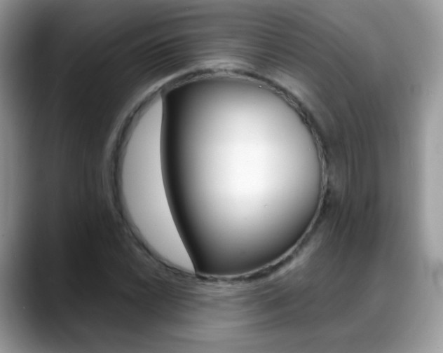 X0000088901022200706080822