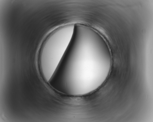 X0000088901024200706080822