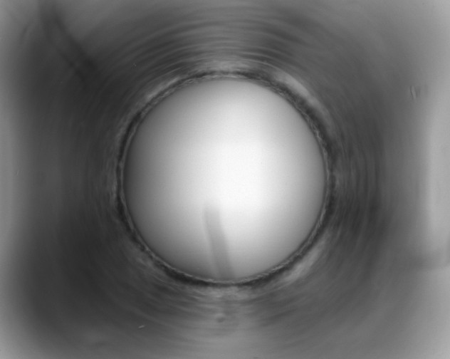 X0000088901025200706080822