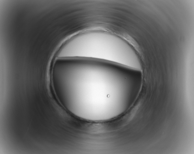 X0000088901028200706080822