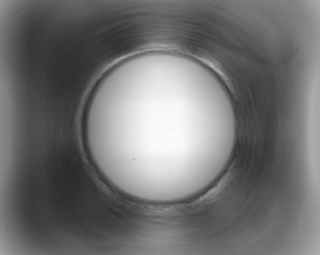 X0000088901030200706080822