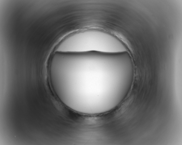 X0000088901031200706080822