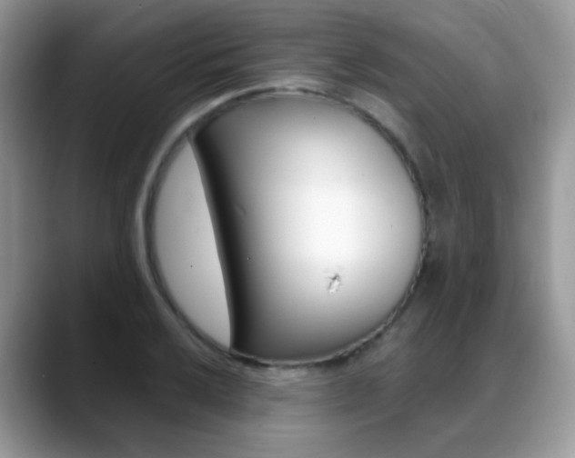 X0000088901032200706080822