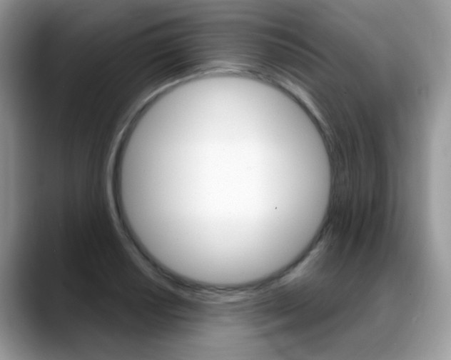 X0000088901034200706080822