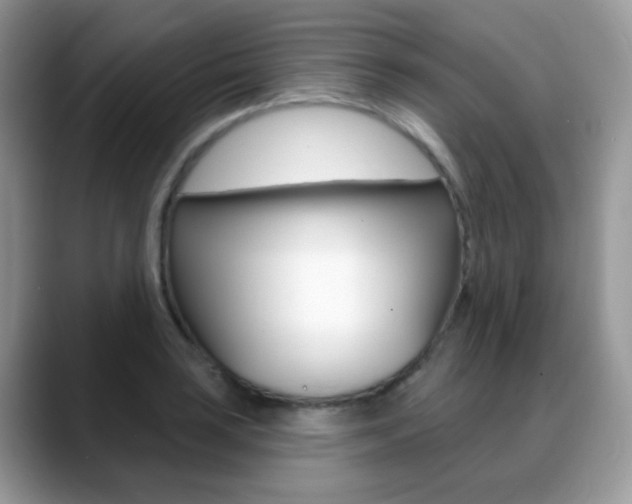 X0000088901035200706080822