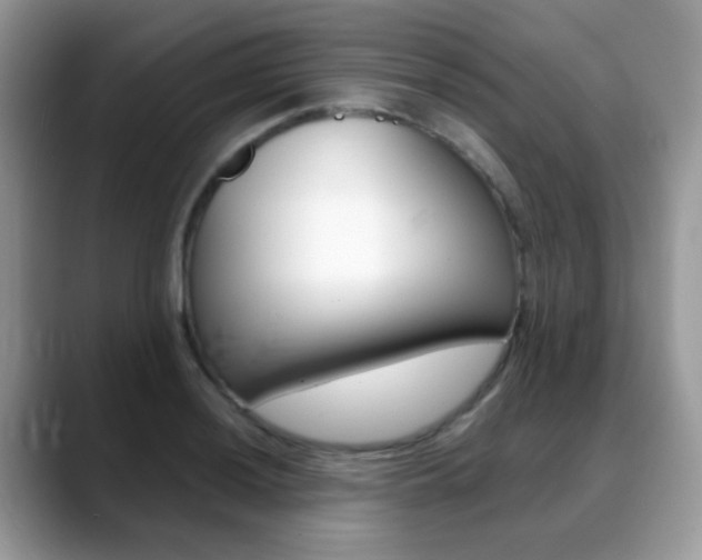 X0000088901036200706080822