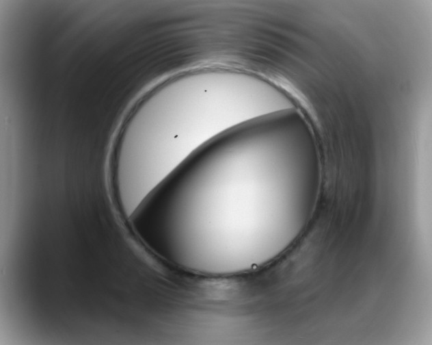 X0000088901037200706080822