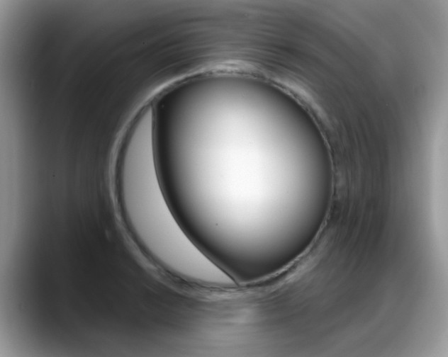 X0000088901038200706080822