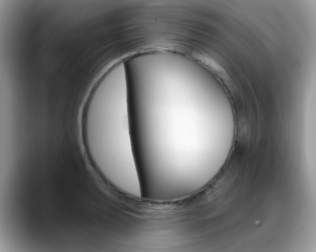 X0000088901039200706080822
