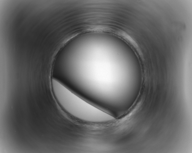 X0000088901041200706080822