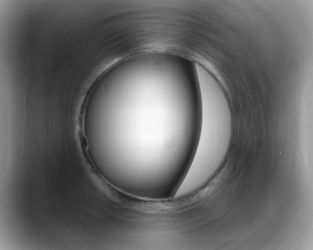 X0000088901042200706080822