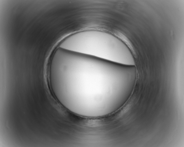 X0000088901043200706080822