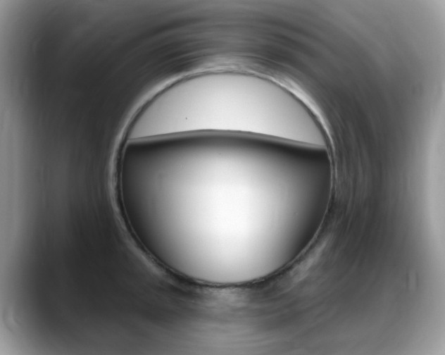 X0000088901045200706080822
